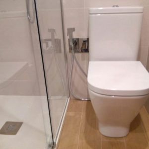 Ambiente-higienico-sustituto-bide-3-ecobioebro