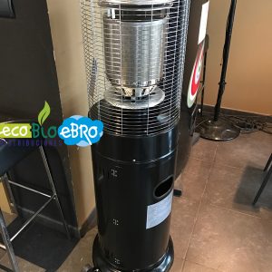 ambiente-restaurante-estufa-baja-corona-11-Kw-Ecobioebro