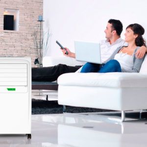 Noble-Calefactor-climatizador-ambiente-ecobioebro