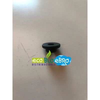 ambiente-junta-anodo-idrogas-ecobioebro