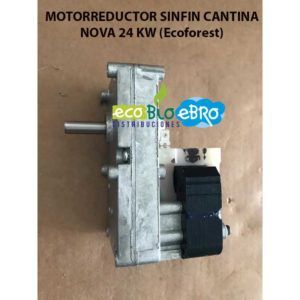 MOTORREDUCTOR-SINFIN-CANTINA-NOVA-24-KW-(Ecoforest)-ECOBIOEBRO