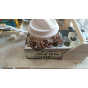 ambiente-modulo-selectro-kayami-humidificador-ecobioebro